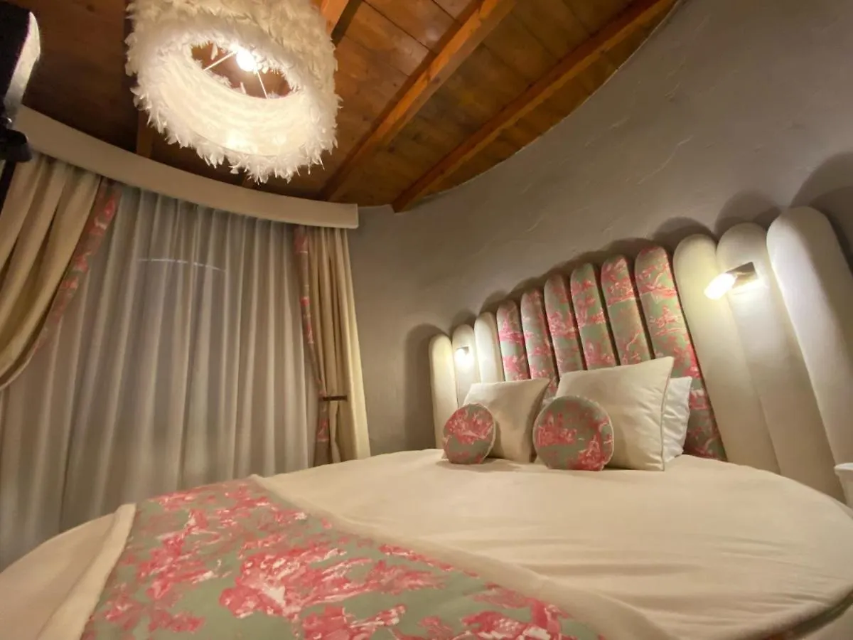 ****  Hotel Domaine De Suzel Vignieu Francia